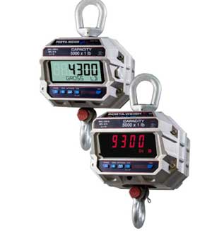 Crane Scales